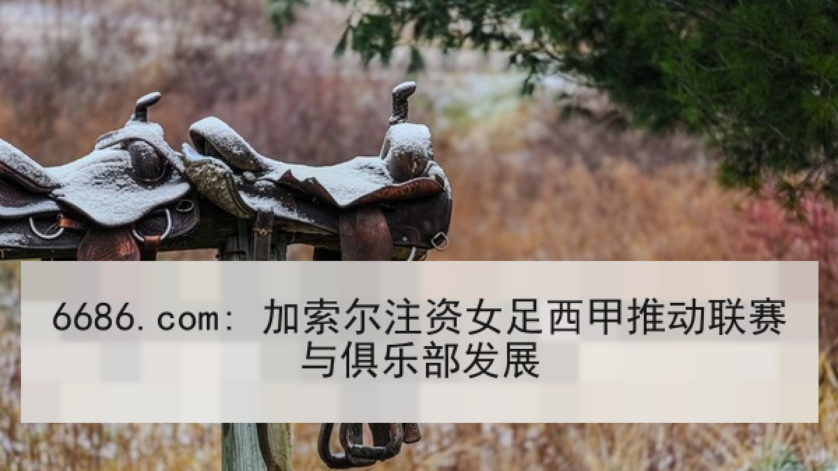6686.com: 加索尔注资女足西甲推动联赛与俱乐部发展