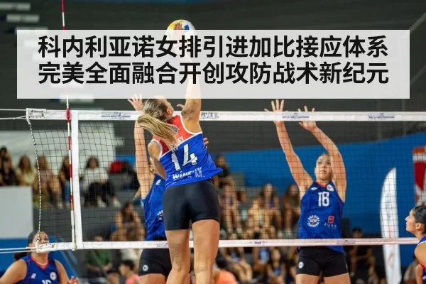 volleyball spike action（6686.com）